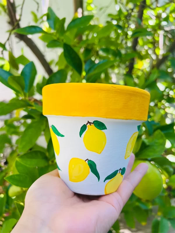 Lemon Pot