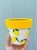 Lemon Pot