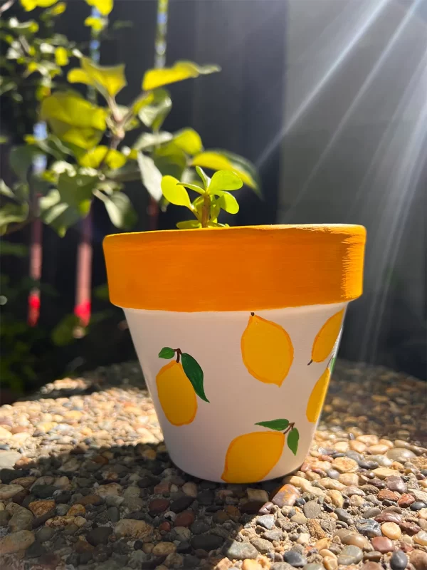 Lemon Pot