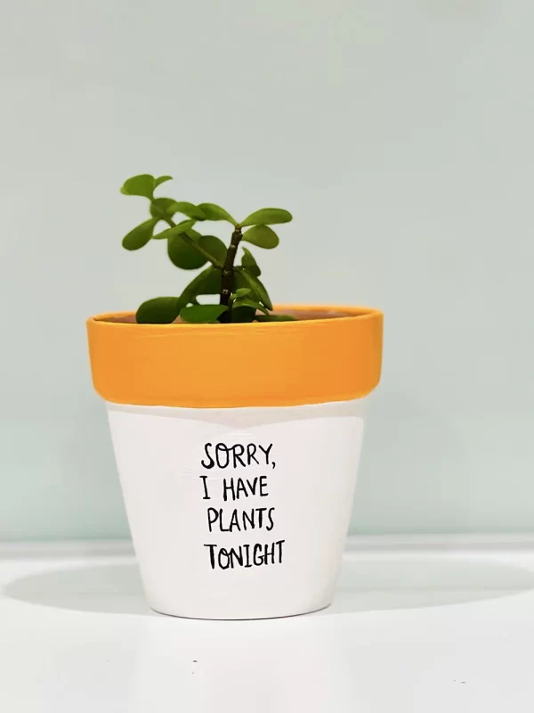 Sorry, I have plants tonight!